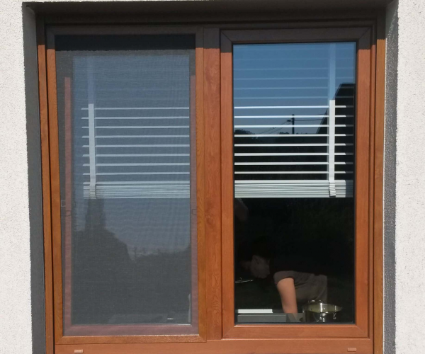 Síto proti hmyzu, zlatý dub - Hlučín Darkovičky